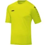 JAKO Trikot Team KA grün F23