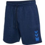 hummel hmlACTIVE CO SHORTS blau F7459